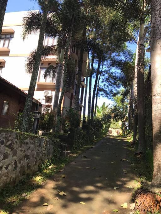 Villa Naumi Bandung Bagian luar foto